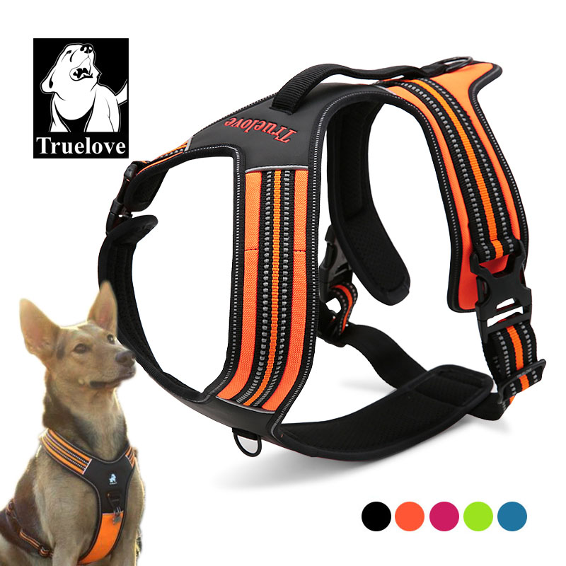 Outdoor Adventure Xl - Harnais pour chien Truelove Sport en
