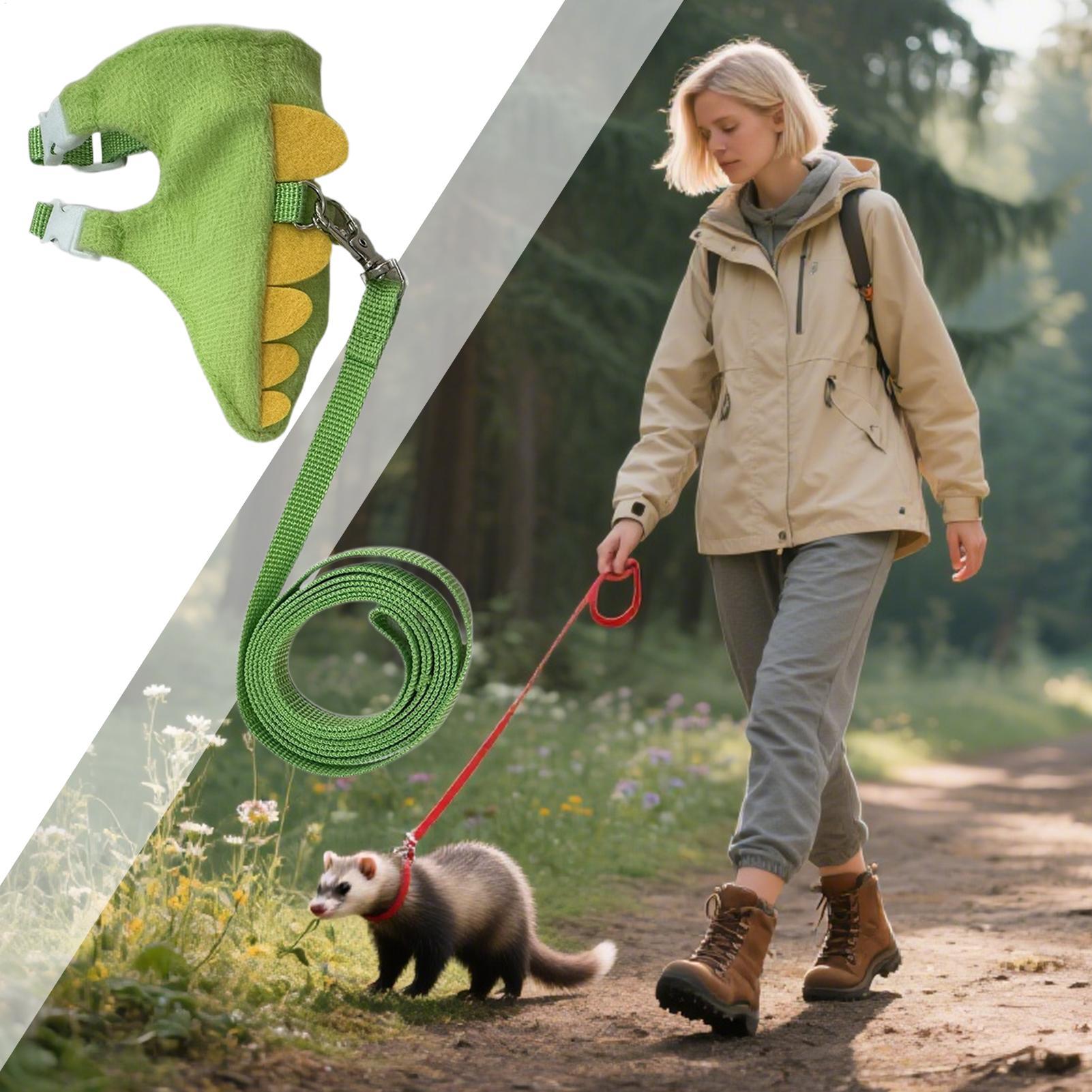 Ensemble de harnais et de lais - Outdoor Adventure Walks avis et prix