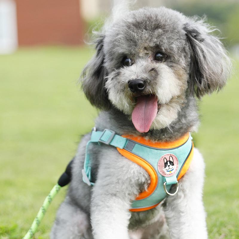 Harnais et laisse pour chien r - Outdoor Adventure Walks avis et prix