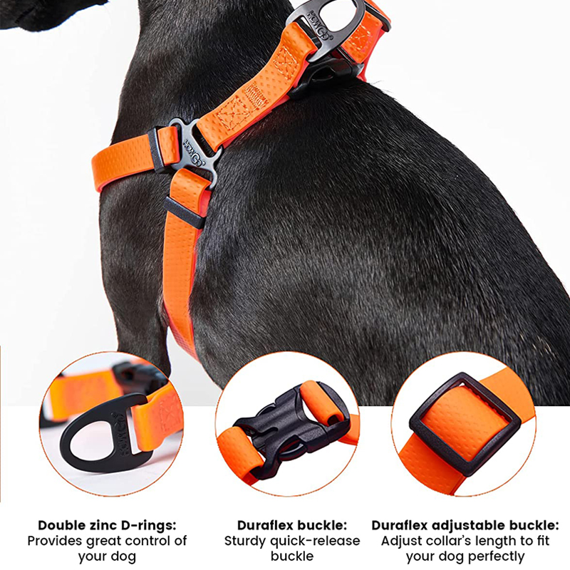 Harnais réglable pour chien, s - Outdoor Adventure Walks avis et prix