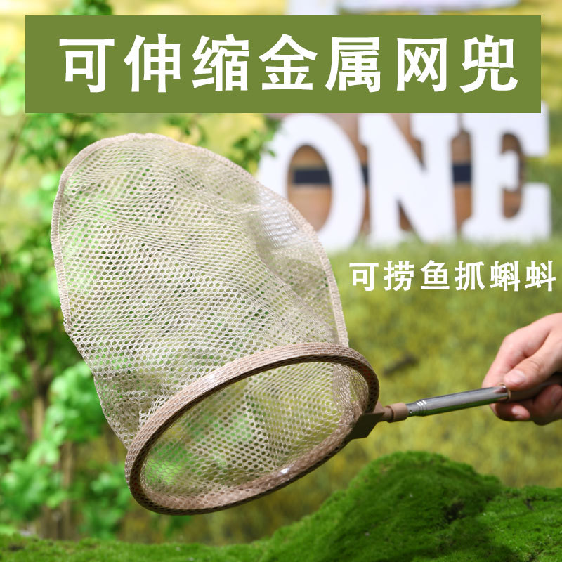 Boîte d'observation des insect - Outdoor Adventure Xl avis et prix
